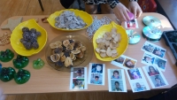 РИОСВ отбеляза Международния ден на планините 