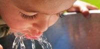 Кардиолози съветват кога трябва да се пие вода
