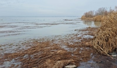 Екоинспектори извършиха проверка на ез. Вая по сигнали за неприятни миризми