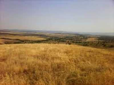 Природозащитник: Ценни природни местообитания в "Айтоска планина" са под заплаха
