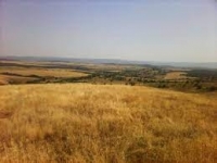 Природозащитник: Ценни природни местообитания в "Айтоска планина" са под заплаха
