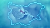 50% от българите не искат възстановяване на мерките срещу COVID-19 от март и април