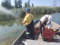 „Дезинфекционна станция“ – Бургас продължава да пръска срещу комари.