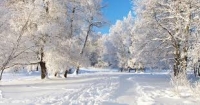 Ще се завали ли сняг за Коледа и Нова година