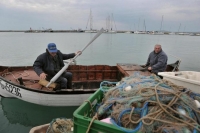 Рибата изчезна от Черно море
