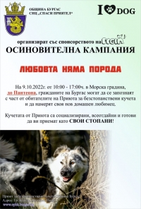 Ако си търсите домашен любимец, може да го откриете тази неделя в Морската градина!