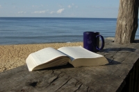 "С книга на плажа"