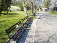 Боядисаха и ремонтираха над 300 пейки, поставят и нови