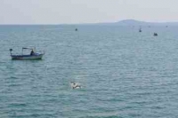 Вижте условията за участие в плувния маратон от Острова до Моста