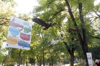 Орлите на България кацат в Бургас