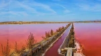 Екосистемата на Атанасовското езеро е застрашена 