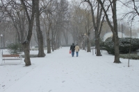 Днес е неучебен ден за всички училища