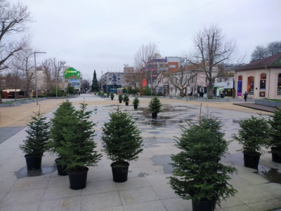 Коледна горичка в парк „Езеро“