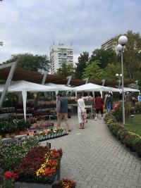 Флора Есен започва в Бургас
