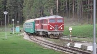 Над 50% е смъртността сред пчелите в цяла България 