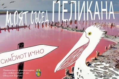 Запознайте се с Пеликан!