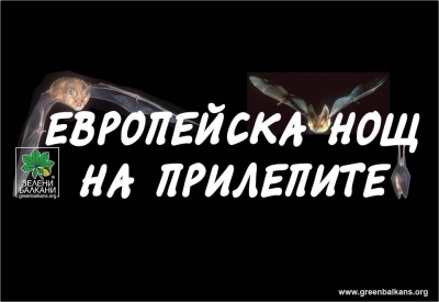 Нощта на прилепите ще бъде на 10 октомври 